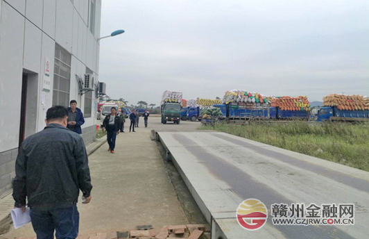 农发行宁都支行积极开展粮食清仓查库工作