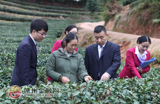 上犹农商行（筹）：播撒金融春雨 助力春耕生产