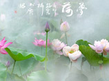 市人行影协作品 莲乡印象