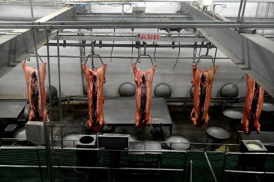 河南瘦肉精肇事来源查明 发现3个制造窝点