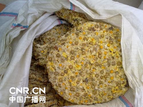 菊花之乡硫磺疑云：每年200吨硫磺菊花流入市场