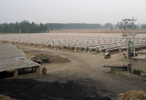 百座无证砖窑毁占耕地7000亩 国土局收费保地