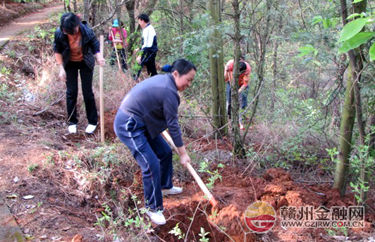 中国人寿赣州分公司积极开展植树活动