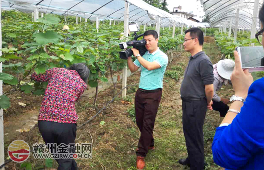 央媒走访于都邮储银行助力老区脱贫