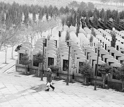 哈尔滨墓地10年涨10倍 “黑殡葬”形成产业链