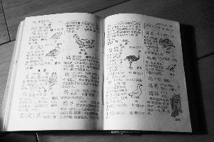 新版《新华字典》登场 旧版字典收藏大热