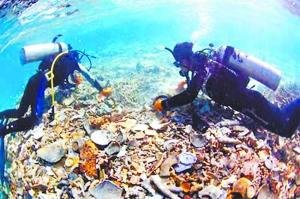 海底宝藏谁打捞就归谁？中国亟待出台开发标准