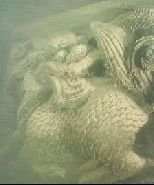 千岛湖水下探秘：狮城姚王氏牌坊精美完整